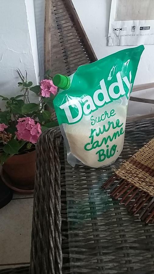 Le Mas-dʼAgenais Le Dormeur Du Val B&B 외부 사진